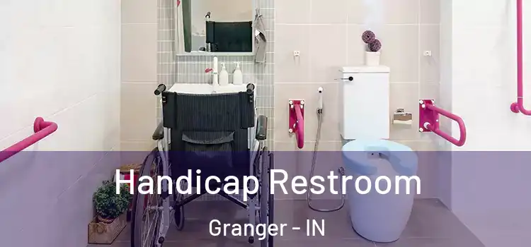  Handicap Restroom Granger - IN