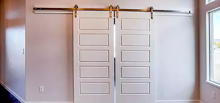 Glass Barn Door with Installation Hardware Kit Granger