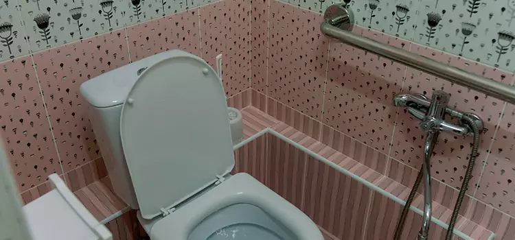 Meeting Diverse Needs With Accessible Restroom Solutions in Granger, IN